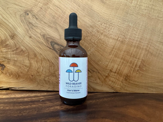 Lion's Mane Tincture