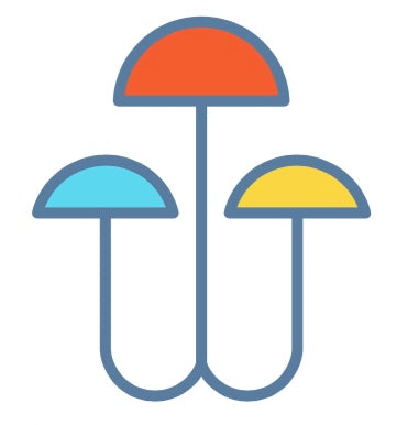 Wild Beaver Foraging